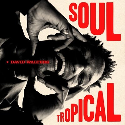 CD Shop - WALTERS, DAVID SOUL TROPICAL