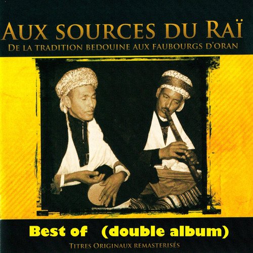 CD Shop - V/A AUX SOURCES DU RAI