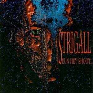 CD Shop - STRIGALL SEUN HEY SHOOT