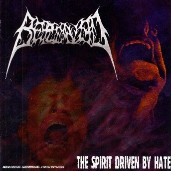 CD Shop - BEREAVED SPIRIT DRIVEN BY HATE