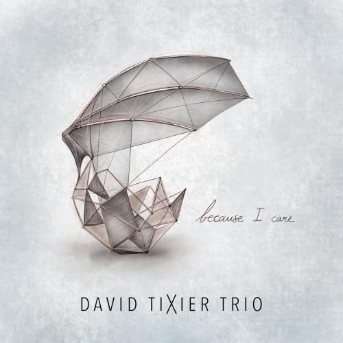 CD Shop - DAVID TIXIER TRIO BECAUSE I CARE