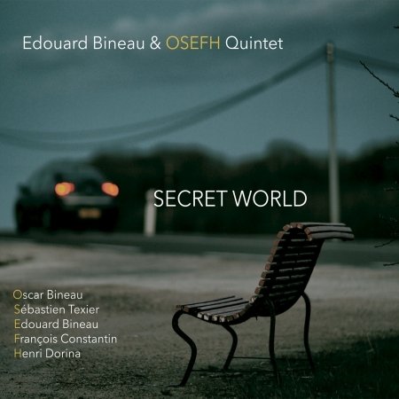CD Shop - BINEAU, EDOUARD SECRET WORLD