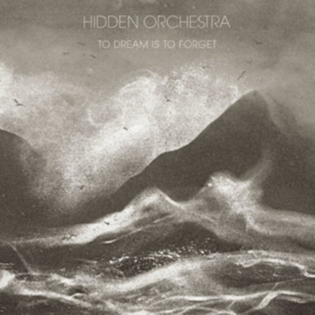 CD Shop - HIDDEN ORCHESTRA TO DREAM IS TO FORGET