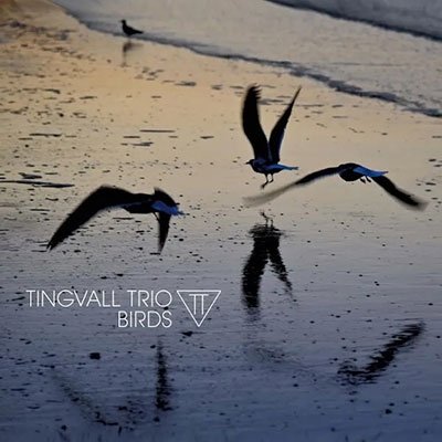 CD Shop - TINGVALL TRIO BIRDS