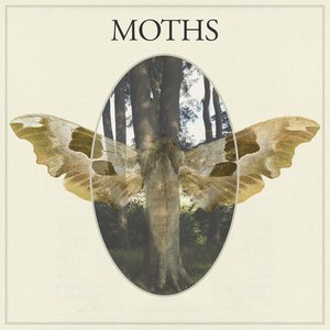 CD Shop - MOTHS MOTHS