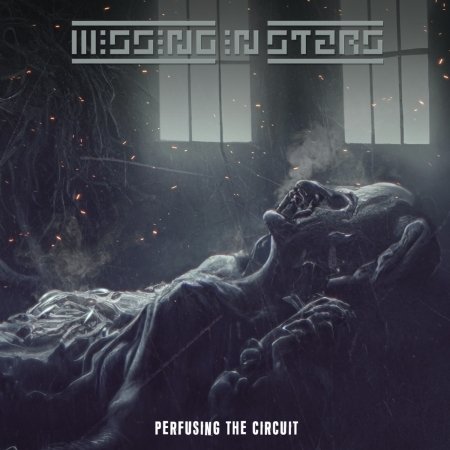CD Shop - MISSING IN STARS PERFUSING THE CIRCUIT