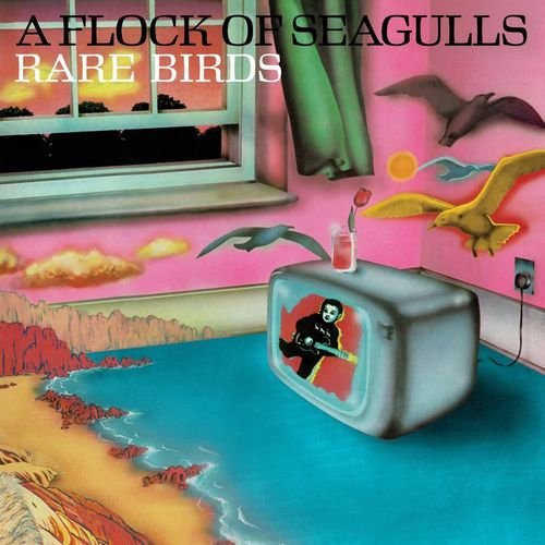 CD Shop - FLOCK OF SEAGULLS RARE BIRDS - \