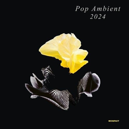 CD Shop - V/A POP AMBIENT 2024