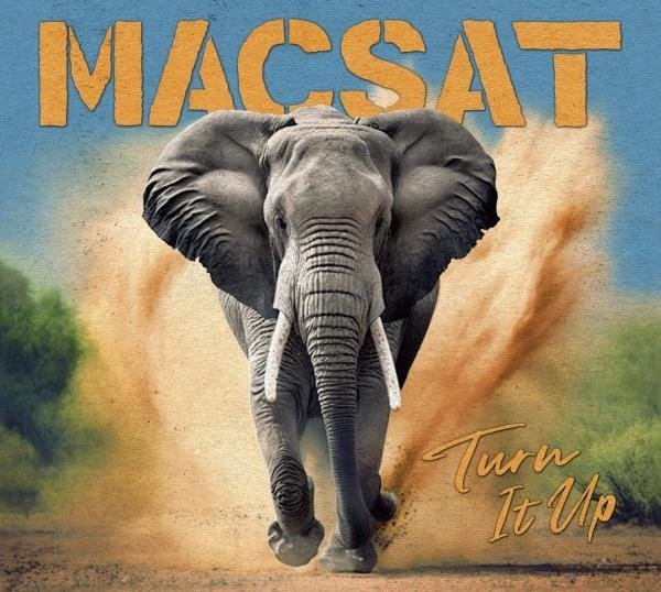 CD Shop - MACSAT TURN IT UP