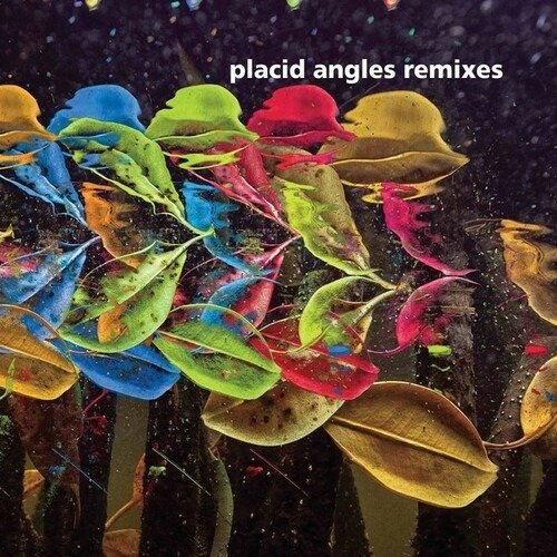 CD Shop - PLACID ANGLES TOUCH THE EARTH REMIXES
