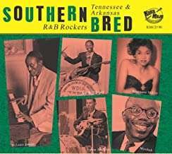 CD Shop - V/A SOUTHERN BRED 24 TENNESSEE R&B ROCKERS: DIPPIN IS MY BUSINESS
