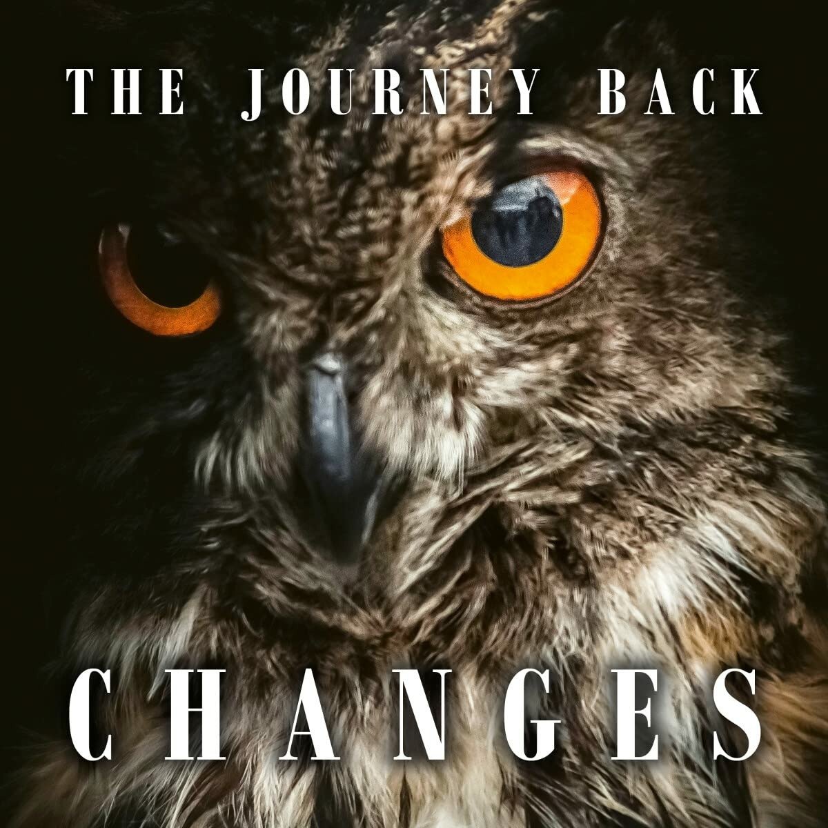 CD Shop - JOURNEY BACK CHANGES