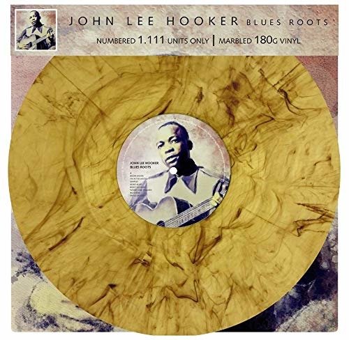 CD Shop - HOOKER JOHN LEE BLUES ROOTS