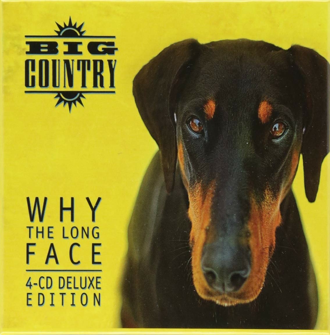 CD Shop - BIG COUNTRY WHY THE LONG FACE