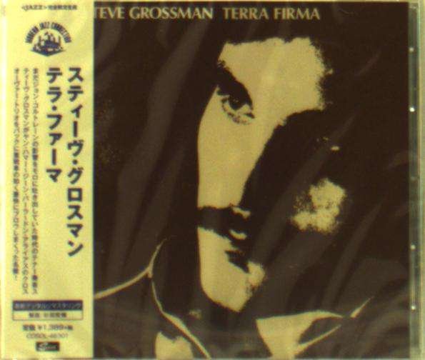 CD Shop - GROSSMAN, STEVE TERRA FIRMA