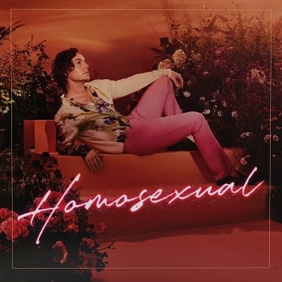 CD Shop - HAYES, DARREN HOMOSEXUAL