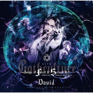 CD Shop - DAVID LIVE `GOTHCULTURE` -IMAGE OF FIRST & SECOND ACT-