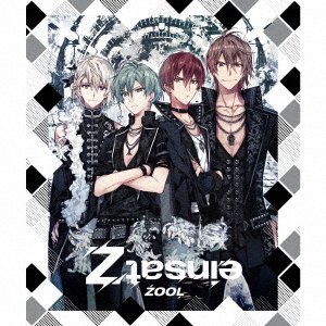 CD Shop - ZOOL EINSATZ