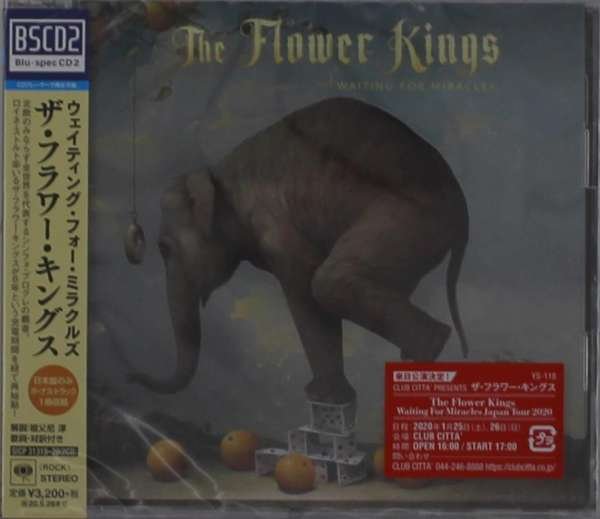 CD Shop - FLOWER KINGS WAITING FOR MIRACLES