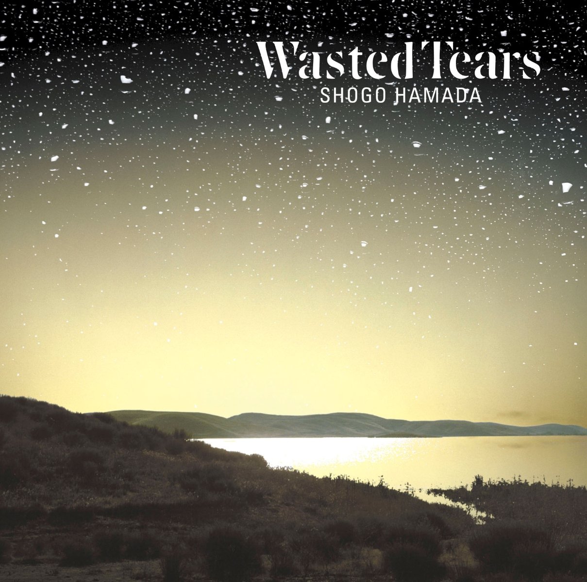 CD Shop - HAMADA, SHOGO WASTED TEARS