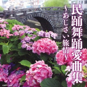 CD Shop - TRADITIONAL MUSIC MINYOU BUYOU AIKYOKUSHUU