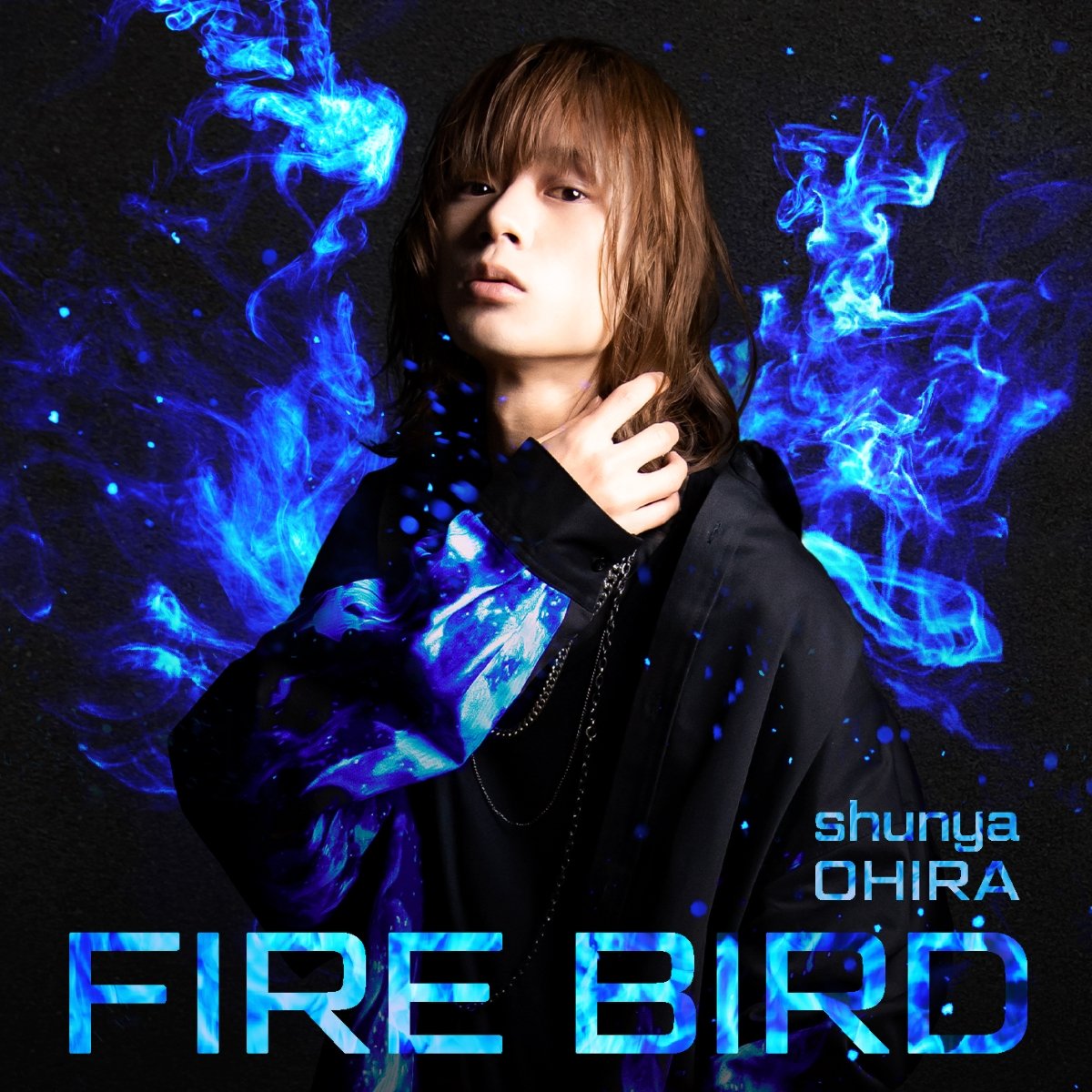 CD Shop - OHHIRA, SHUNYA FIRE BIRD