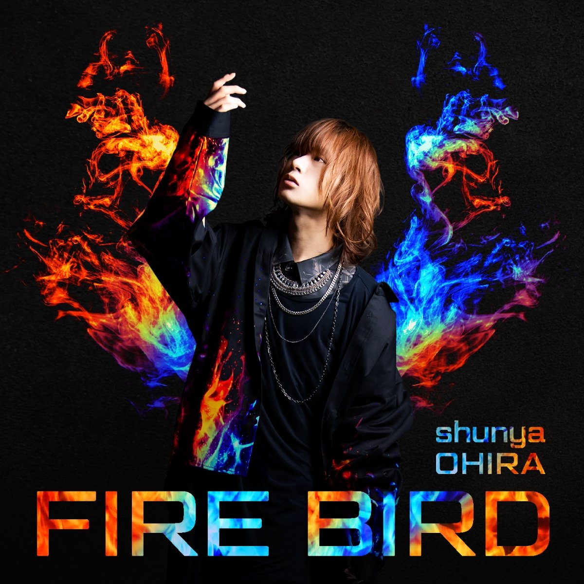 CD Shop - OHHIRA, SHUNYA FIRE BIRD
