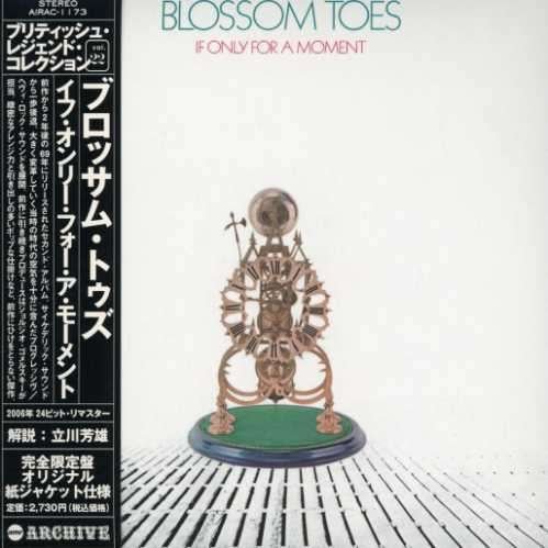 CD Shop - BLOSSOM TOES IF ONLY FOR A MOMENT -LTD