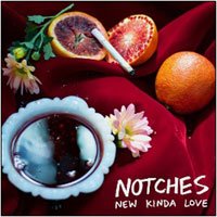 CD Shop - NOTCHES NEW KINDA LOVE / ALMOST RUINED EVERYTHING