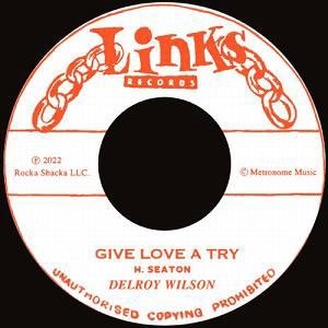 CD Shop - WILSON, DELROY GIVE LOVE A TRY