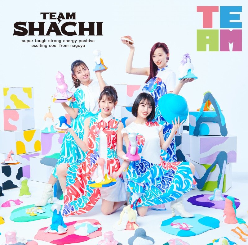 CD Shop - TEAM SHACHI TEAM