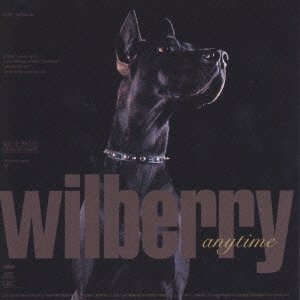 CD Shop - WILBERRY ANYTIME