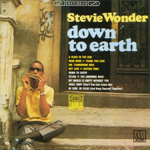 CD Shop - WONDER, STEVIE DOWN TO EARTH