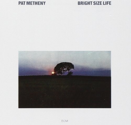 CD Shop - METHENY, PAT BRIGHT SIZE LIFE