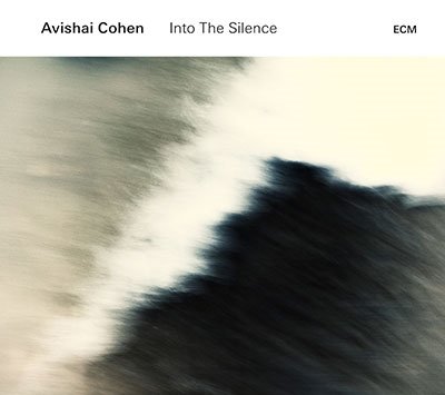 CD Shop - COHEN, AVISHAI INTO THE SILENCE