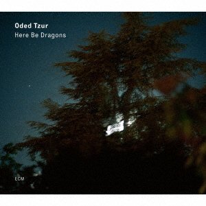 CD Shop - TZUR, ODED HERE BE DRAGONS