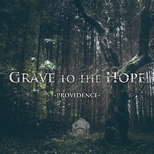 CD Shop - GRAVE TO THE HOPE PROVIDENCE