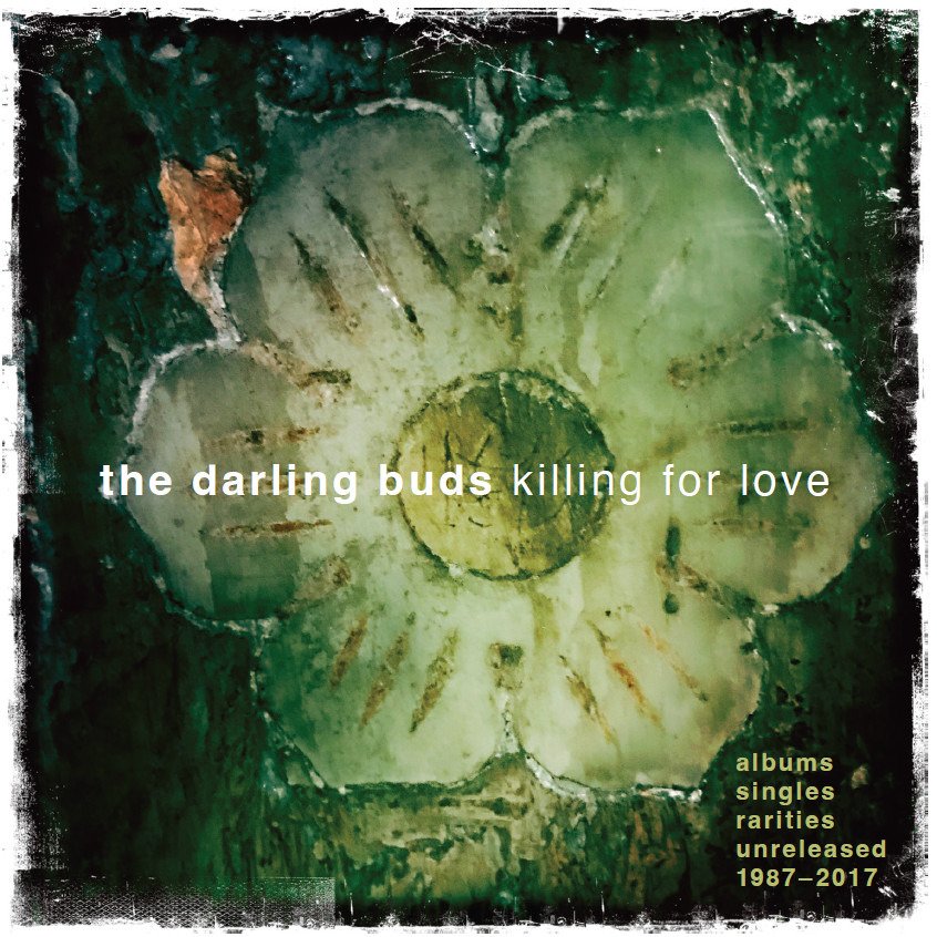 CD Shop - DARLING BUDS KILLING FOR LOVE