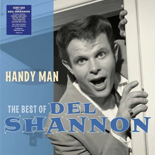 CD Shop - SHANNON, DEL HANDY MAN - THE BEST OF