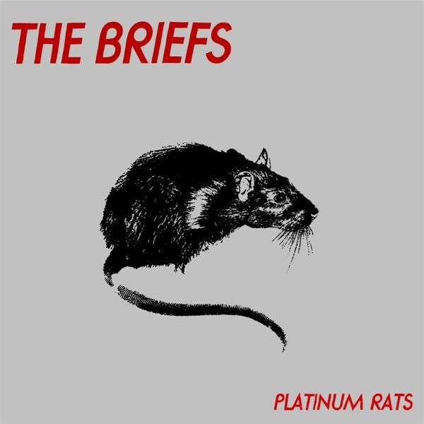 CD Shop - BRIEFS PLATINUM RATS
