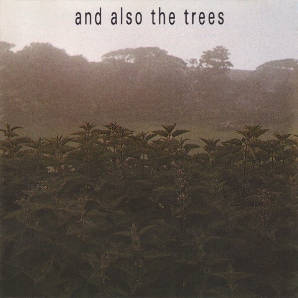 CD Shop - AND ALSO THE TREES AND ALSO THE TREES