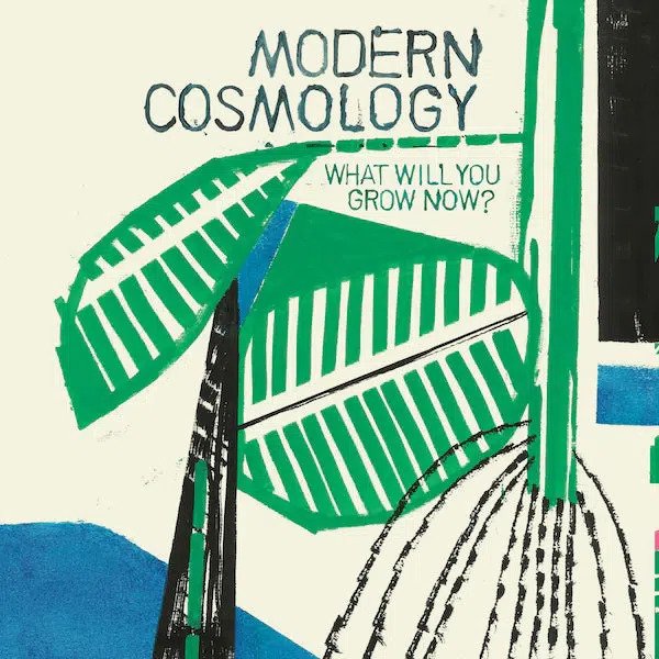 CD Shop - MODERN COSMOLOGY WHAT WILL YOU GROW NOW?