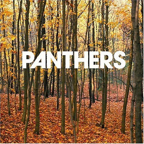 CD Shop - PANTHERS THINGS ARE STRANGE