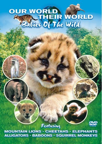 CD Shop - DOCUMENTARY BABIES OF THE WILD