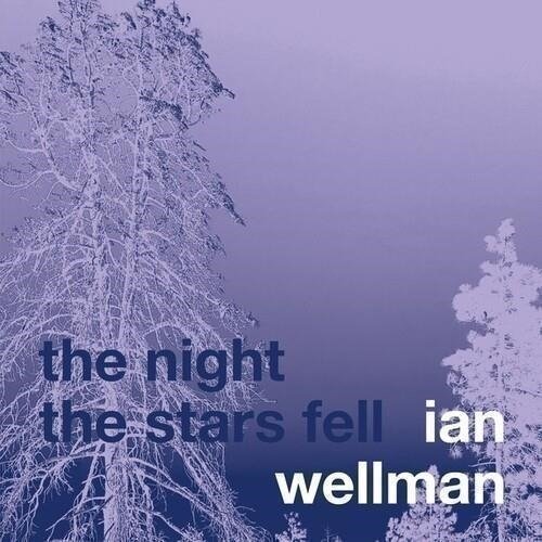 CD Shop - WELLMAN, IAN THE NIGHT THE STARS FELL