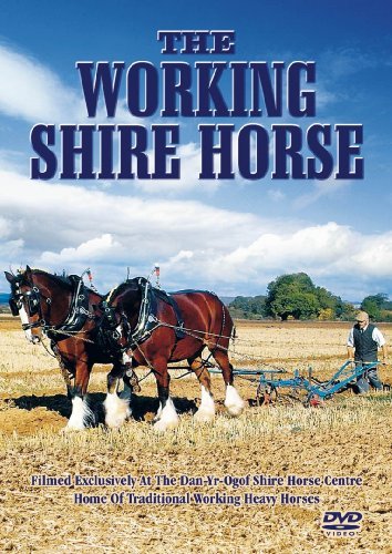 CD Shop - DOCUMENTARY WORKING SHIRE HORSE