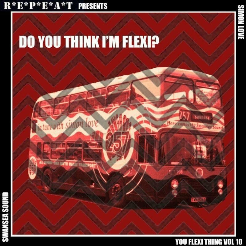 CD Shop - V/A YOU FLEXI THING VOL.10: DO YOU THINK I\