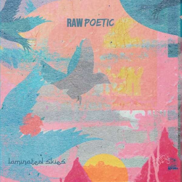 CD Shop - RAW POETIC AND DAMU THE F CONVERSATION PEACE