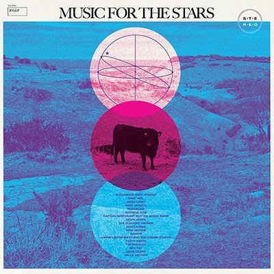 CD Shop - V/A MUSIC FOR THE STARS
