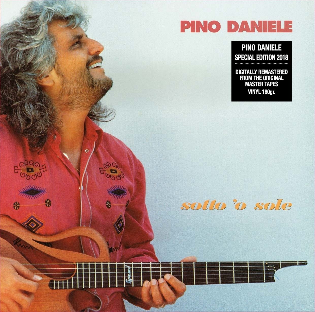 CD Shop - DANIELE, PINO SOTTO O SOLE
